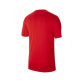 Nike Training Park 20  Dri-Fit T-shirt Ανδρική Κοντομάνικη Μπλούζα Polyester/Cotton/Viscose Regular Fit - Red